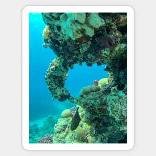 Coral reef and fish Sticker